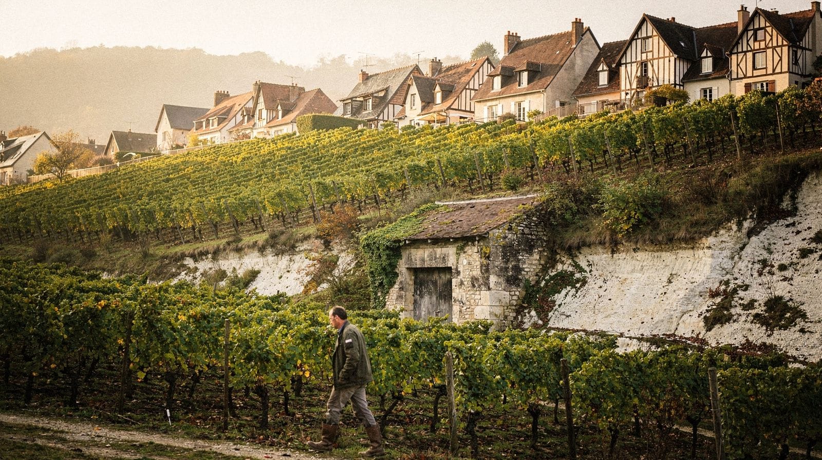 Champagne day trip from Paris: Reims and Épernay houses to visit