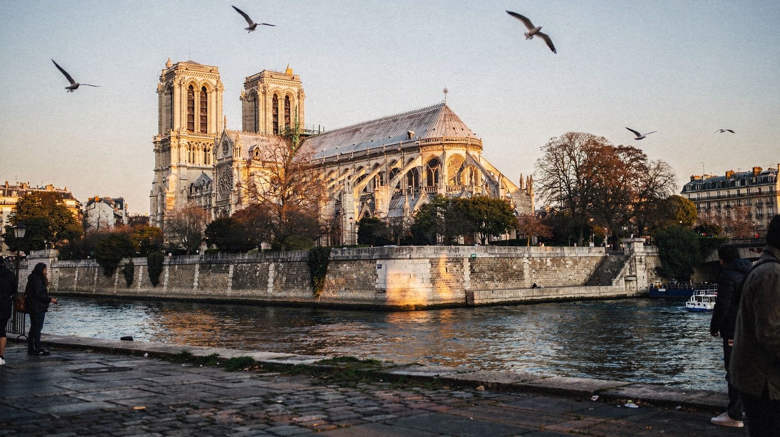Île de la Cité & Notre-Dame