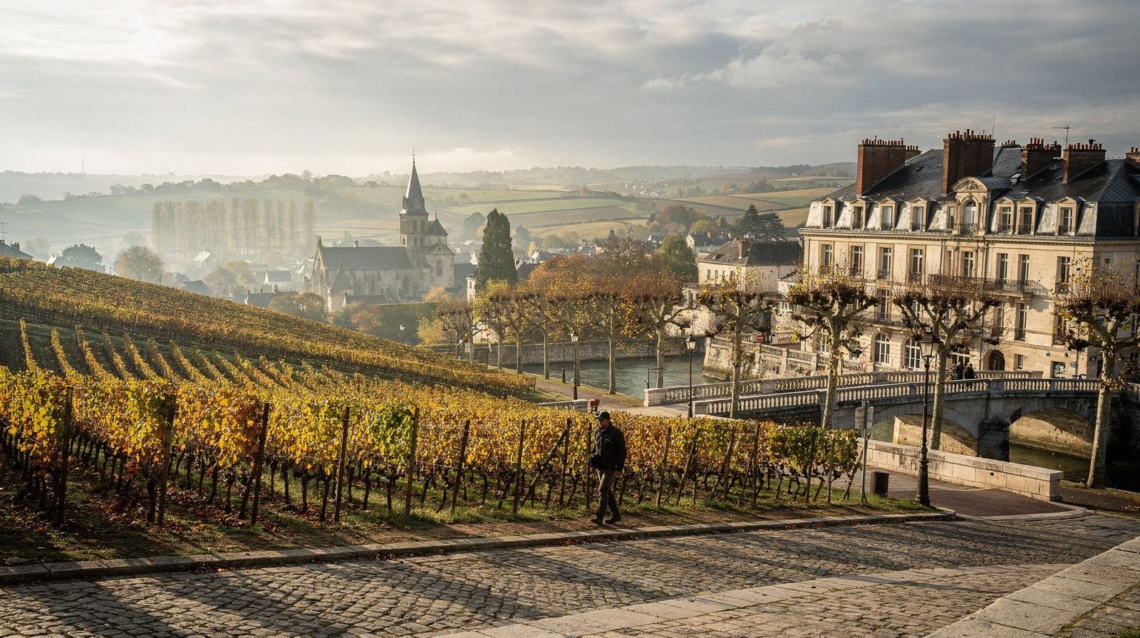 Champagnehuizen in Reims en Épernay: welke dagtrip vanuit Parijs kiezen?